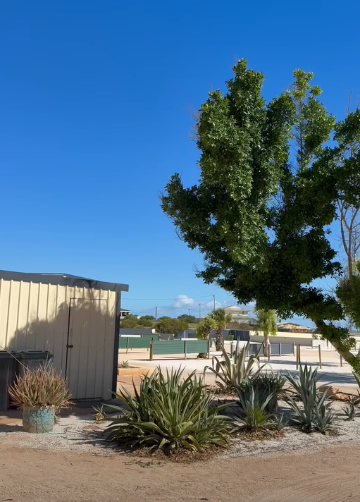 圖片來源:FB @Shark Bay Caravan Park 圖片來源:FB @Shark Bay Caravan Park