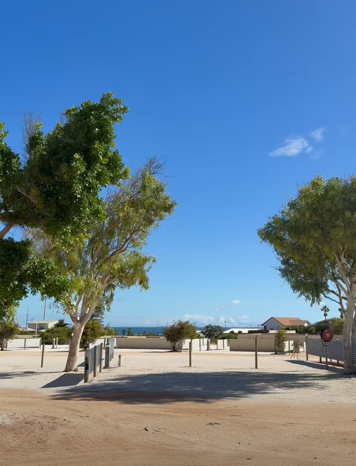 圖片來源:FB @Shark Bay Caravan Park 圖片來源:FB @Shark Bay Caravan Park