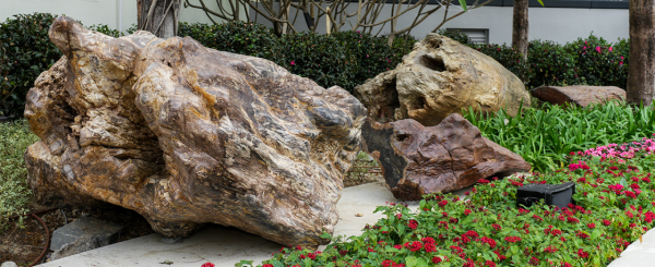 2026落雨避暑好去處！7大免費冷氣秘境 歎室內空中花園無敵海景