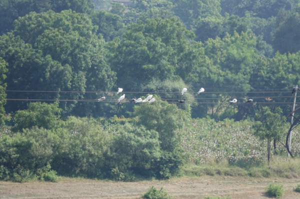 圖片來源:freepik 圖片來源:freepik