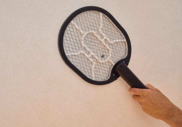 圖片來源:freepik 圖片來源:freepik