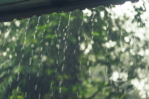 圖片來源:freepik 圖片來源:freepik