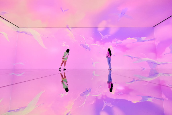 橫濱Wonderia全新沉浸式藝術館！6大展區逾4萬呎夢幻空間 日本最大深海LED隧道 