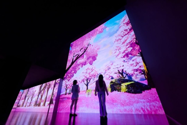 橫濱Wonderia全新沉浸式藝術館！6大展區逾4萬呎夢幻空間 日本最大深海LED隧道 