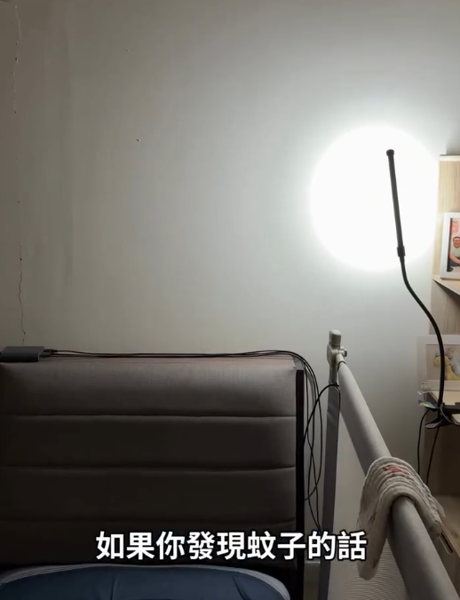 半夜捉蚊千萬別開大燈！網民教1招「側照法」滅蚊 牆上秒現巨大黑影