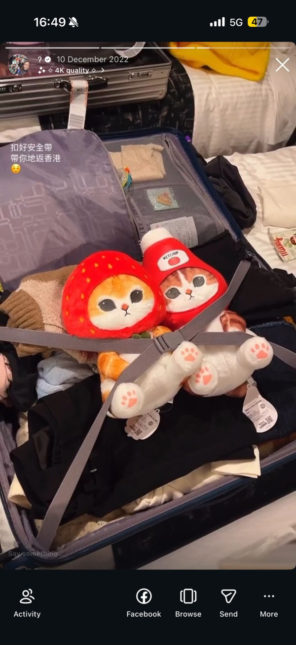 傾家入宅｜整理師教路「直立式收納」拯救亂屋 三大口訣傳授「買一送一」法則