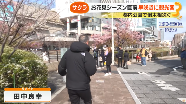 照片來源:サン!シャイン公式ch. 照片來源:サン!シャイン公式ch.