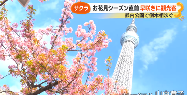 照片來源:サン!シャイン公式ch. 照片來源:サン!シャイン公式ch.