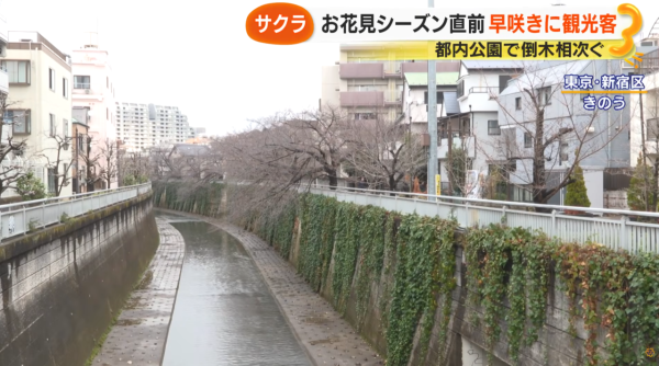 照片來源:サン!シャイン公式ch. 照片來源:サン!シャイン公式ch.