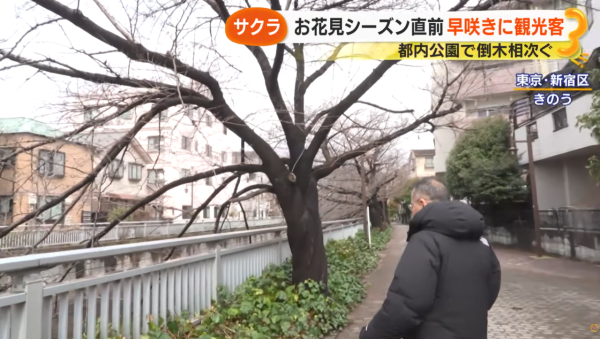 照片來源:サン!シャイン公式ch. 照片來源:サン!シャイン公式ch.