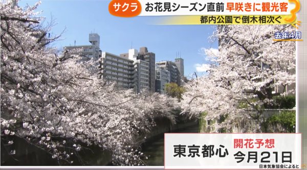 照片來源:サン!シャイン公式ch. 照片來源:サン!シャイン公式ch.