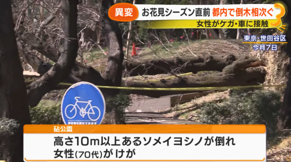 照片來源:サン!シャイン公式ch. 照片來源:サン!シャイン公式ch.