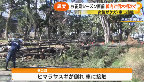 照片來源:サン!シャイン公式ch. 照片來源:サン!シャイン公式ch.