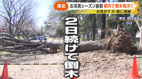 照片來源:サン!シャイン公式ch. 照片來源:サン!シャイン公式ch.