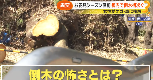 照片來源:サン!シャイン公式ch. 照片來源:サン!シャイン公式ch.