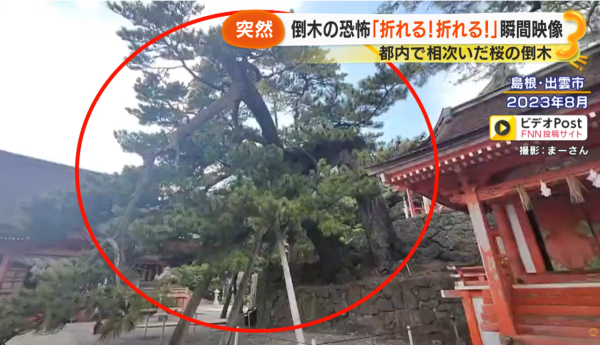 照片來源:サン!シャイン公式ch. 照片來源:サン!シャイン公式ch.