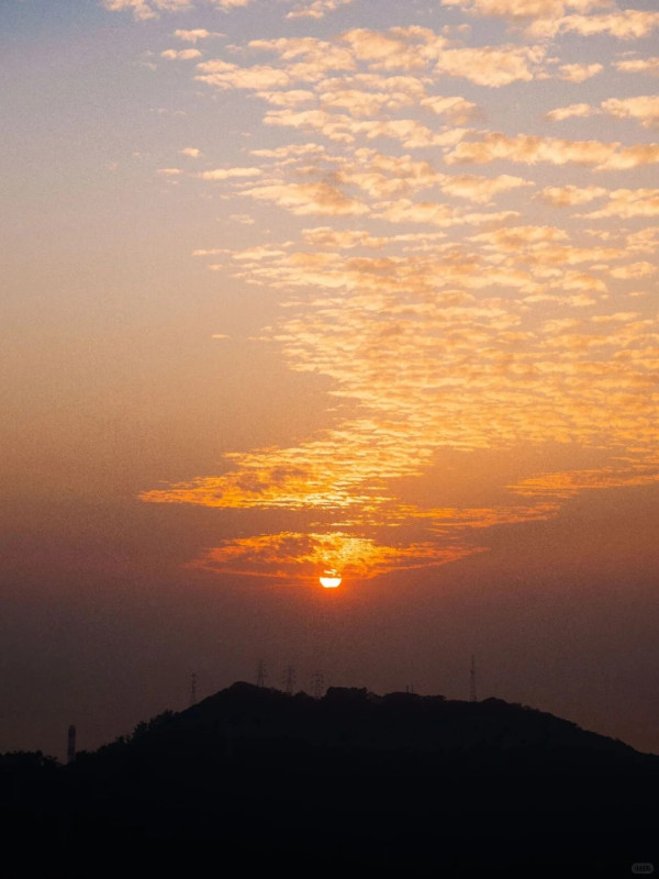 照片來源：小紅書@深圳生活研究所