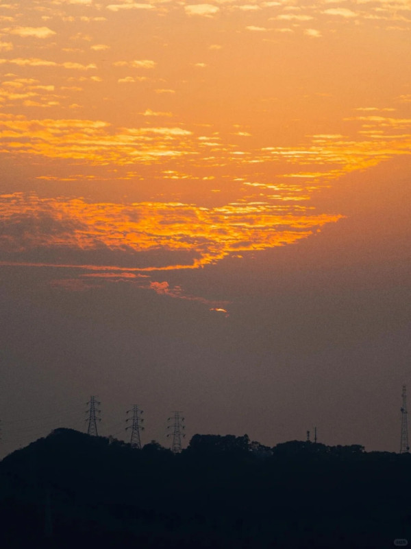 照片來源：小紅書@深圳生活研究所