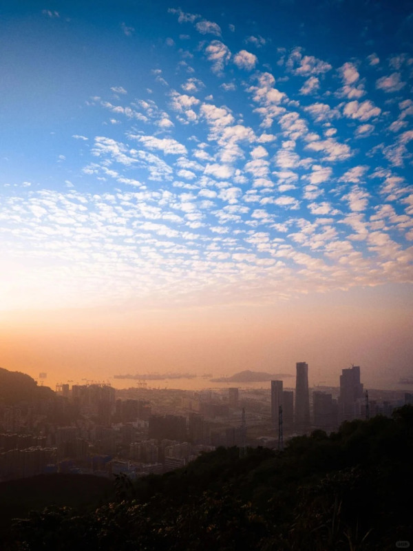 照片來源：小紅書@深圳生活研究所