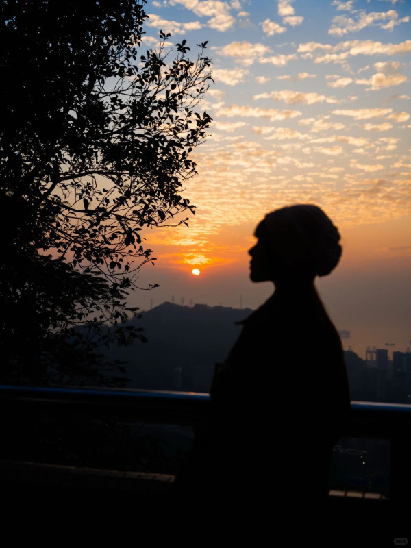 照片來源：小紅書@深圳生活研究所