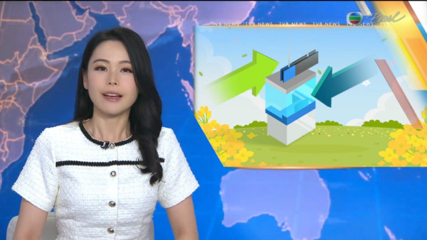 林婷婷着旗袍報新聞被質疑衣著不恰當 網民反應意外一面倒：佢著得好靚