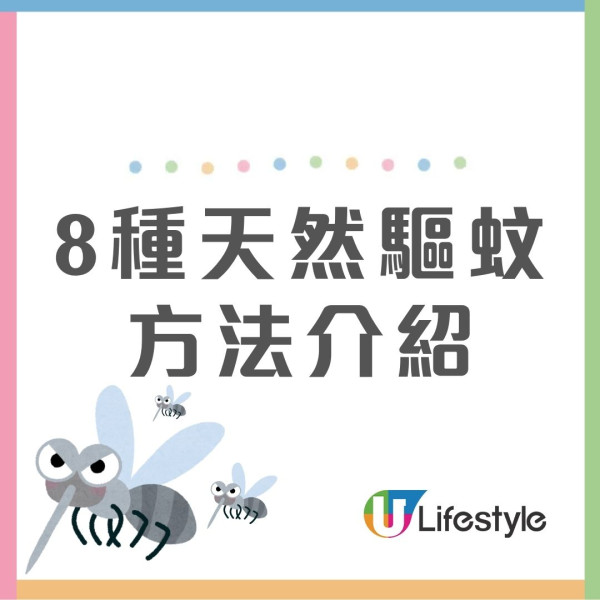 打蚊成日拍空？網民瘋傳「100%擊中」神技！多做1動作即防蚊子逃脫 附8類防蚊產品比較/蚊討厭4顏色