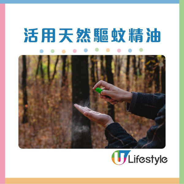 打蚊成日拍空？網民瘋傳「100%擊中」神技！多做1動作即防蚊子逃脫 附8類防蚊產品比較/蚊討厭4顏色