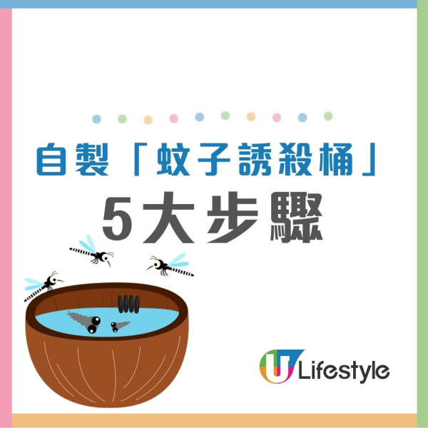 打蚊成日拍空？網民瘋傳「100%擊中」神技！多做1動作即防蚊子逃脫 附8類防蚊產品比較/蚊討厭4顏色