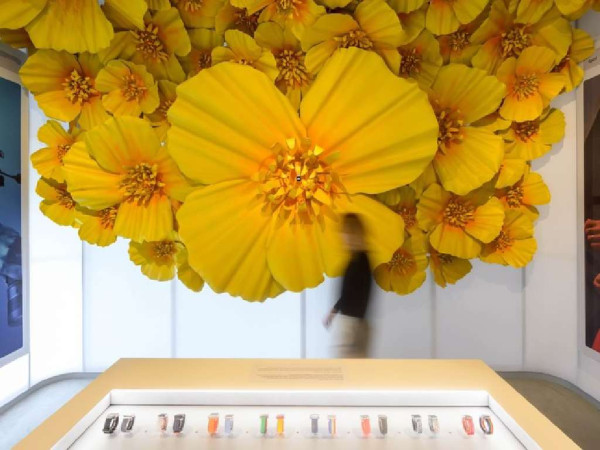 果粉終極朝聖地！2 萬平方呎「Apple 博物館」正式開幕 展出 50 年神級心血收藏【附地址/買飛攻略】