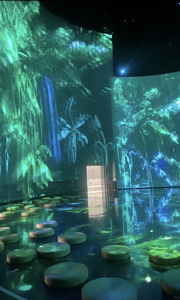 (圖片來源:小紅書@ ECHO) 廣州星空畫意光影展媲美teamLab!免門票沉浸式治癒體驗打卡必去