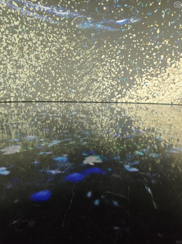 (圖片來源:小紅書@Tisu) 廣州星空畫意光影展媲美teamLab!免門票沉浸式治癒體驗打卡必去