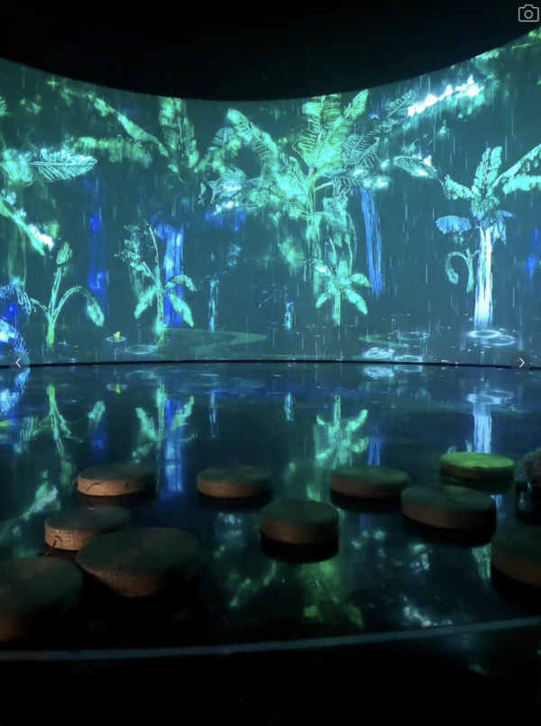 (圖片來源:小紅書@Tisu) 廣州星空畫意光影展媲美teamLab!免門票沉浸式治癒體驗打卡必去