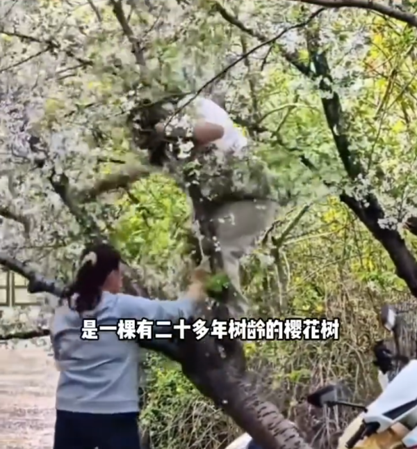 照片來源：微博@河南公共频道 