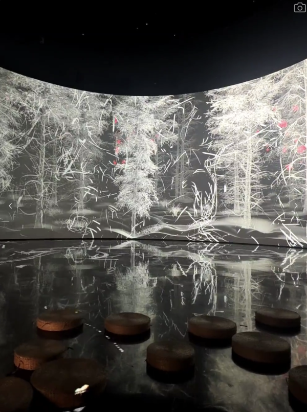 (圖片來源:小紅書@Tisu) 廣州星空畫意光影展媲美teamLab!免門票沉浸式治癒體驗打卡必去
