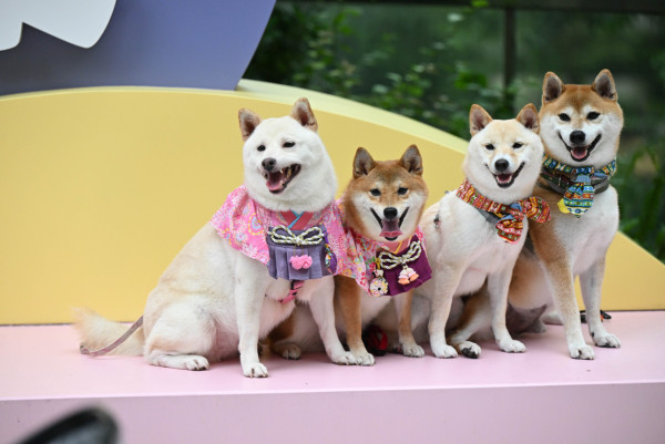 北部都會區購物商場推介︰Yoho Mall 形點（圖片來源︰Yoho Mall 形點）