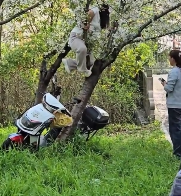 照片來源：微博@科技小参谋 