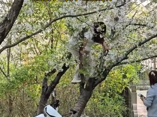 照片來源：微博@科技小参谋 