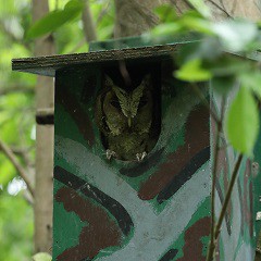 北部都會區玩樂郊遊推介︰香港濕地公園（圖片來源︰香港濕地公園）
