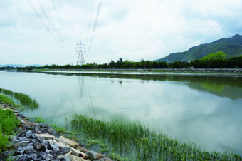 北部都會區玩樂郊遊推介︰南生圍（圖片來源︰渠務署）