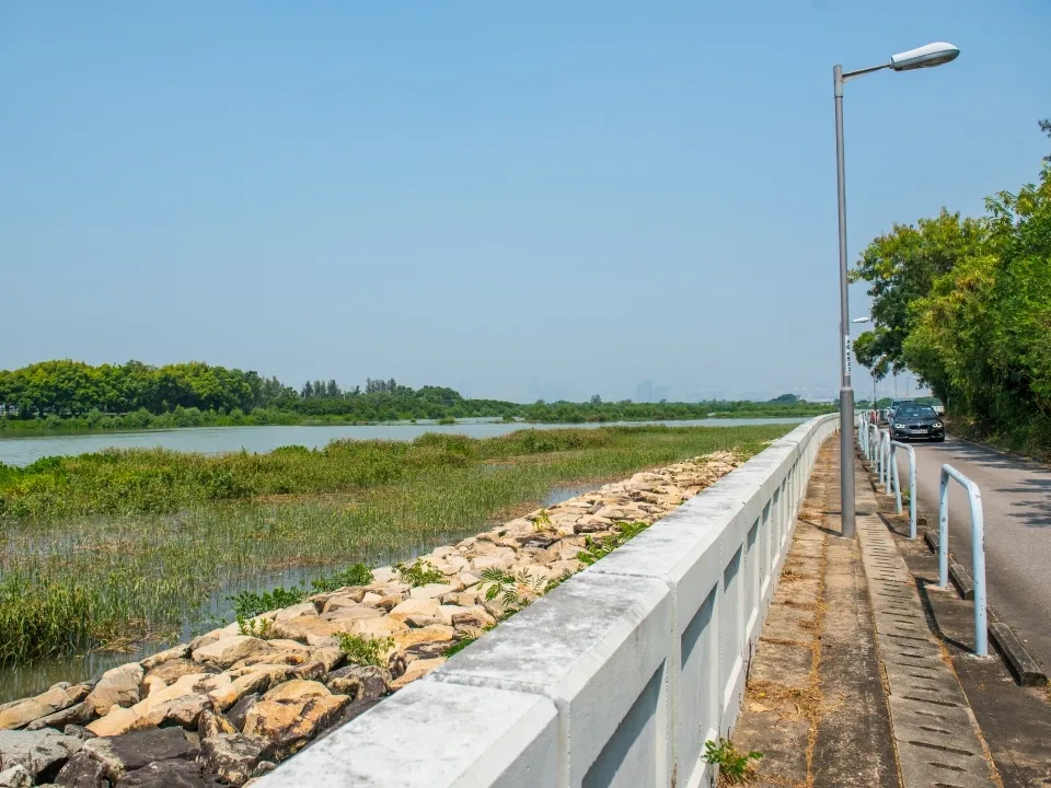 北部都會區玩樂郊遊推介︰南生圍（圖片來源︰香港旅遊發展局）