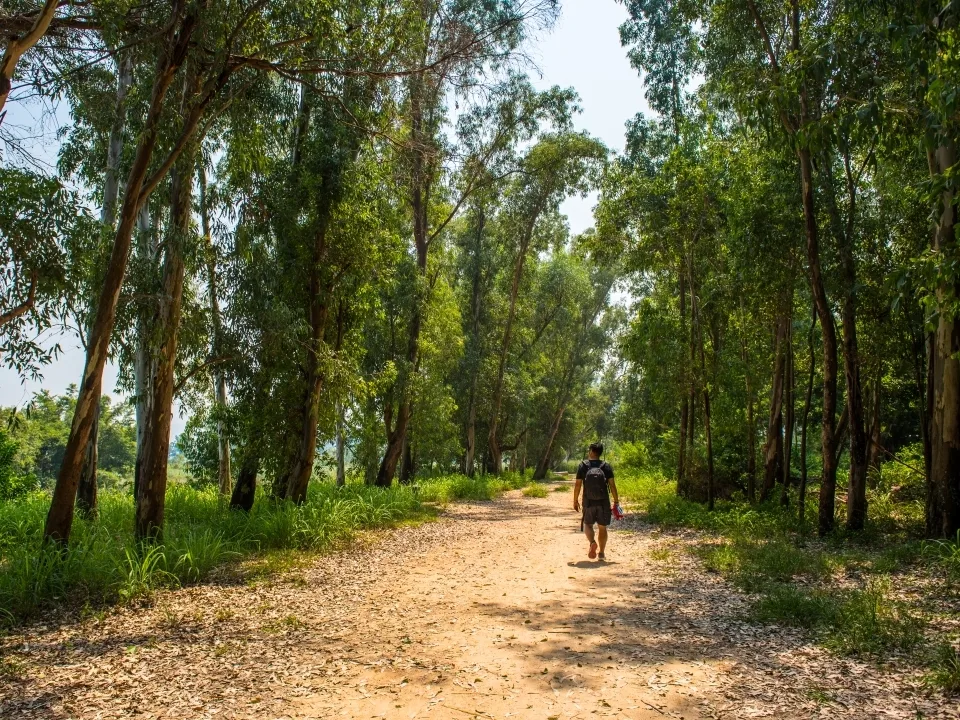 北部都會區玩樂郊遊推介︰南生圍（圖片來源︰香港旅遊發展局）