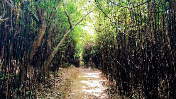 北部都會區玩樂郊遊推介︰河背水塘（相片由「拖手仔 去街Guide」提供(HKET)）