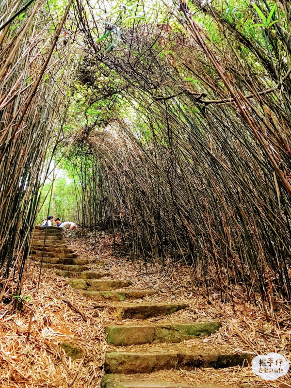 北部都會區玩樂郊遊推介︰河背水塘（相片由「拖手仔 去街Guide」提供(HKET)）