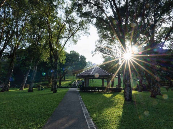 北部都會區玩樂郊遊推介︰元朗公園百鳥塔（圖片來源︰香港旅遊發展局）