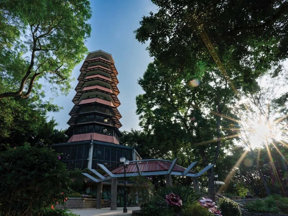北部都會區玩樂郊遊推介︰元朗公園百鳥塔（圖片來源︰香港旅遊發展局）