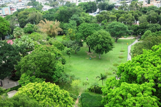 北部都會區玩樂郊遊推介︰元朗公園百鳥塔（圖片來源︰康文署）
