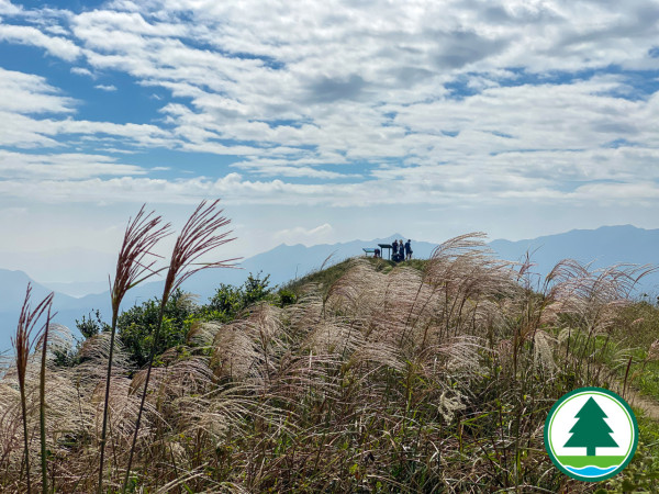 北部都會區玩樂郊遊推介︰紅花嶺郊野公園（圖片來源︰漁農自然護理署）