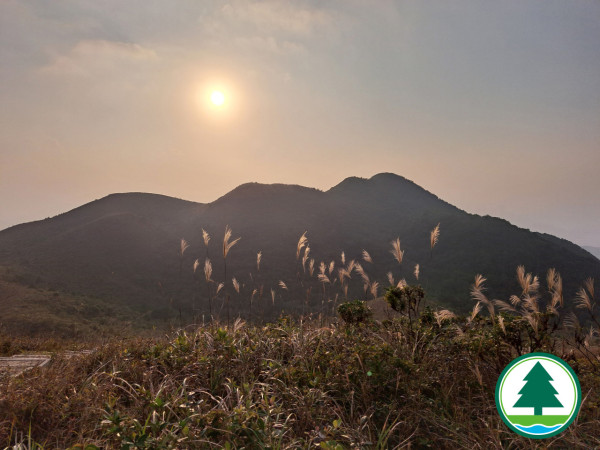 北部都會區玩樂郊遊推介︰紅花嶺郊野公園（圖片來源︰漁農自然護理署）