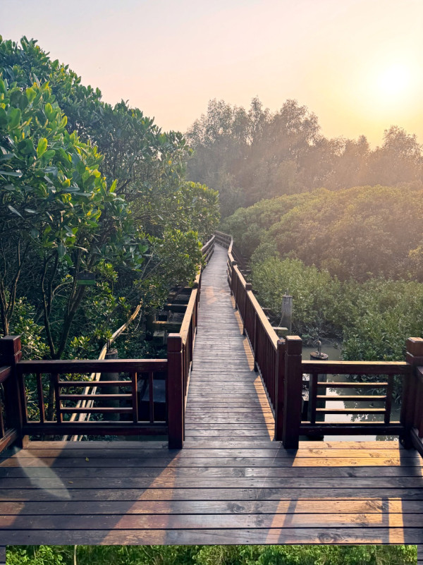 （圖片來源︰FB@北部都會區）