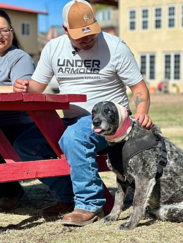 美國12歲半盲老狗護主大戰黑熊 臉遭撕開拼死肉搏 化身戰神救下60命 